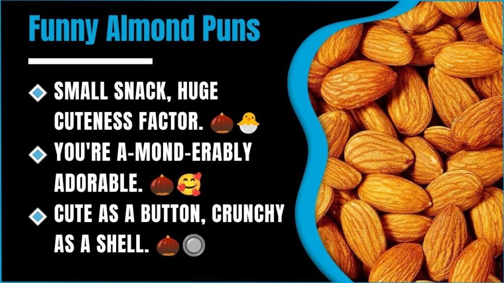 238+ Almond Puns That Are So Good They’ll Crack You Up 🌰