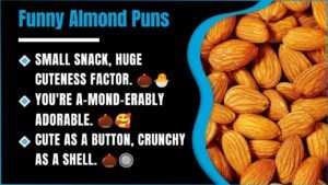238+ Almond Puns That Are So Good They’ll Crack You Up 🌰