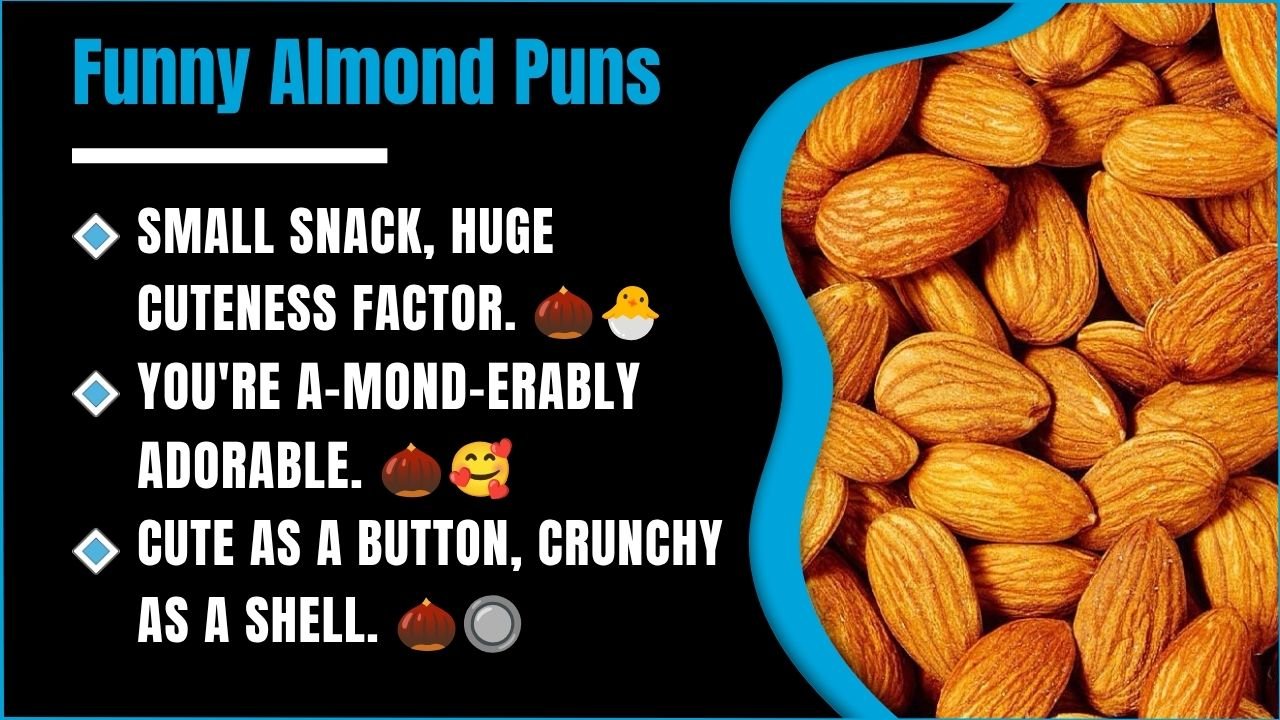 238+ Almond Puns That Are So Good They’ll Crack You Up 🌰