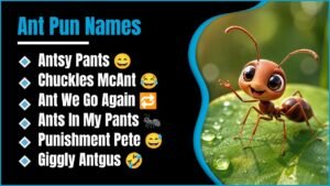 214+ Ant Pun Names That Are Surprisingly Funny, Cute, Clever And Impossible To Forget 😄