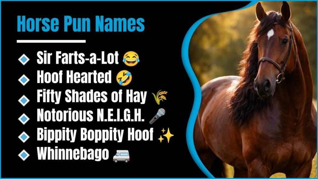 224+ Horse Pun Names That’ll Have You Laughing Out Loud All Day 2K26 😄