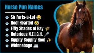 224+ Horse Pun Names That’ll Have You Laughing Out Loud All Day 2K26 😄