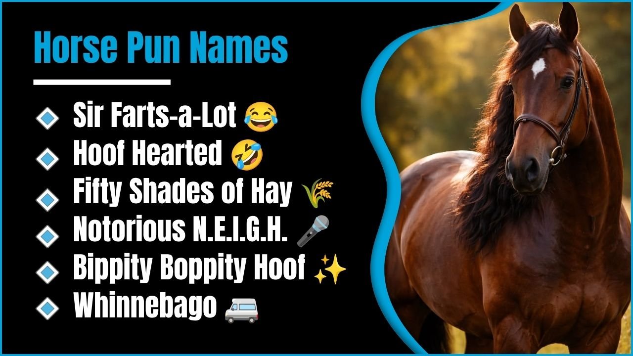 224+ Horse Pun Names That’ll Have You Laughing Out Loud All Day 2K26 😄