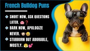 281+ French Bulldog Puns That Will Make You Snort Laugh 😂