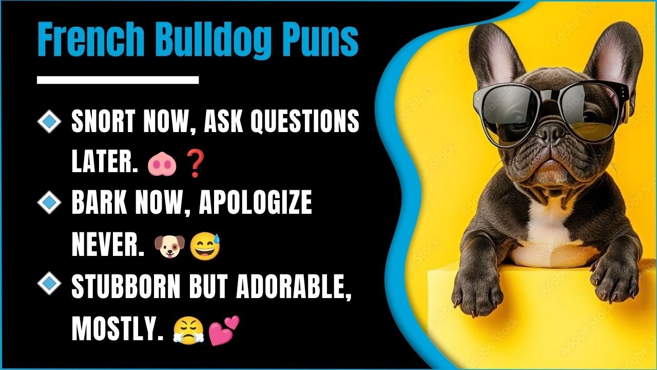 281+ French Bulldog Puns That Will Make You Snort Laugh 😂
