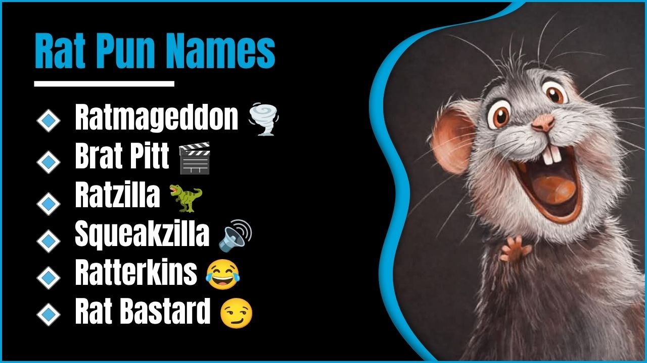 301+ Rat Pun Names That Are So Funny You’ll Want to Steal Them 😄✨