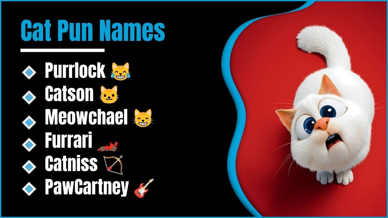 329+ Cat Pun Names That Will Make You Laugh Out Loud 😹 The Funniest Feline Picks You Did Not See Coming