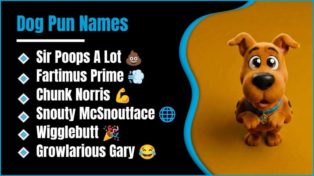 609+ Dog Pun Names That Will Make You Laugh Out Loud 🐕😆