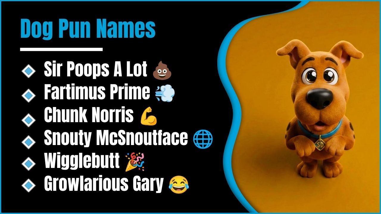 609+ Dog Pun Names That Will Make You Laugh Out Loud 🐕😆