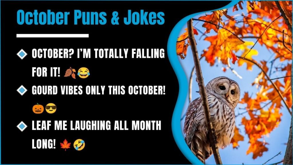 238+ Funny October Puns That Will Leaf You Laughing All Month Long 😂🍂 