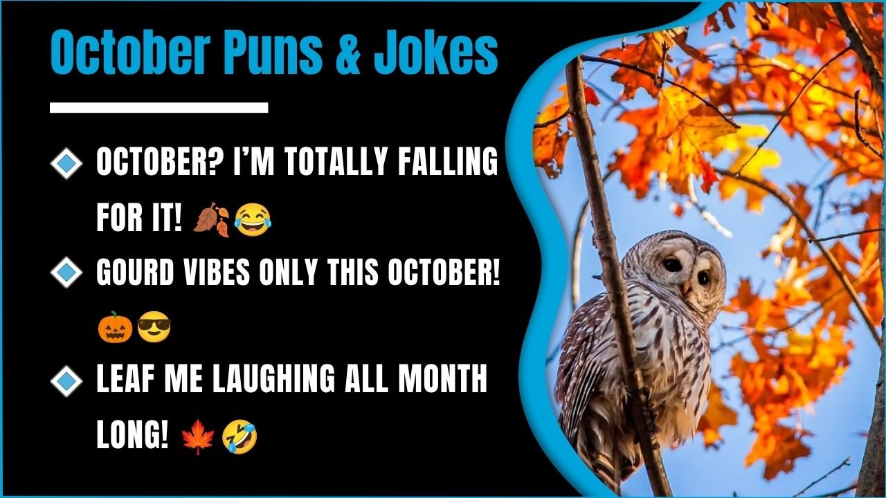 238+ Funny October Puns That Will Leaf You Laughing All Month Long 😂🍂 